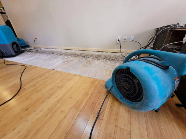 Professional Water Removal technician working in Mantua, OH